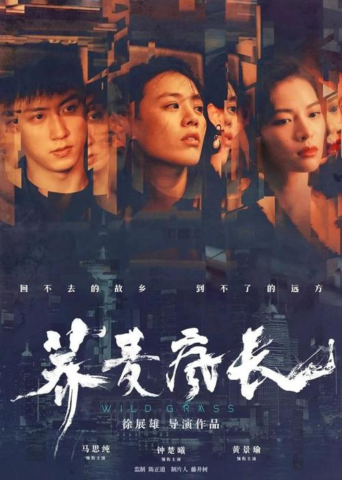 ConservatoriodiMusicadiRezoCalabria计算机科学文凭证书